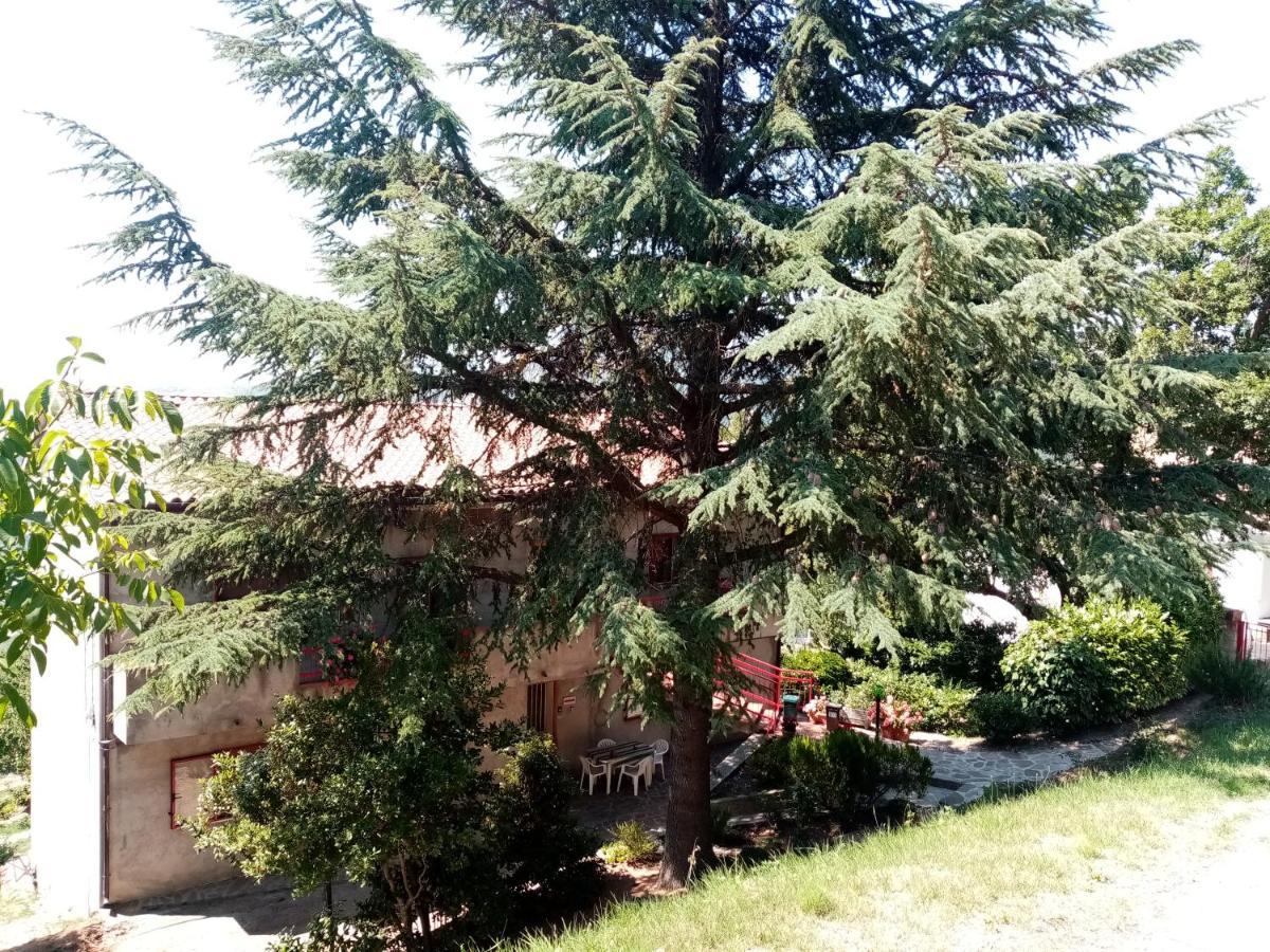 Casa Vacanza Giardino Guardiabruna Esterno foto